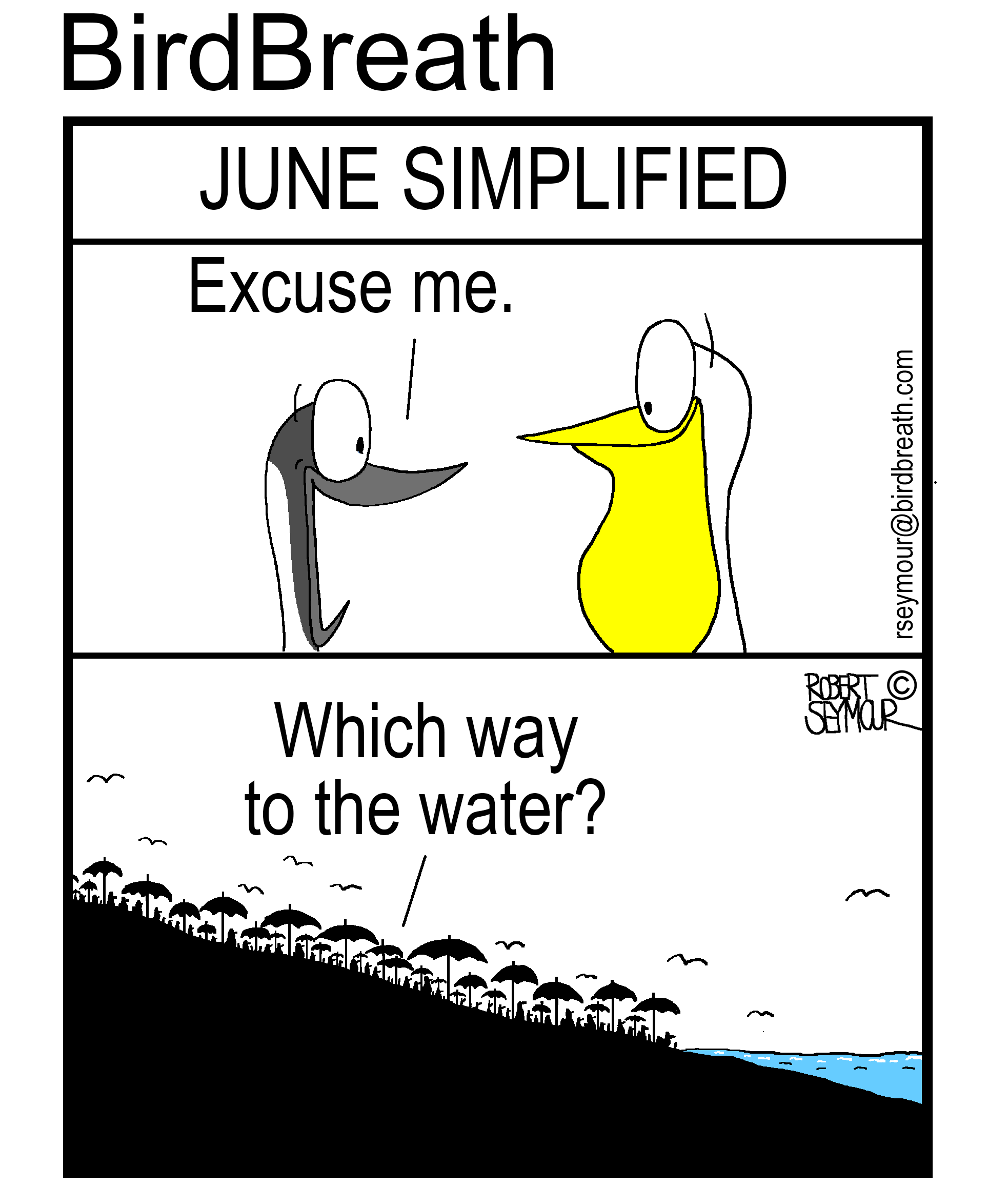 bird cartoon